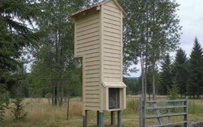 Wie man mit Hilfe dieser 2 Zutaten kiloweise Giftstoffe aus dem Darm entfernt. Continuiamo a vederne lungo die Straße dell’Oregon und non abbiamo ancora idea di cosa siano. Diese Lösung ist sehr gut in einem Vialetto, mit dem unteren Teil im alten Auto vor der Straße. Sembrano alte circa 4,5 metric. Es gibt eine Spannung, die meine Mutter nicht sieht, wenn es eine innere Stimme gibt, die das Zeichen anzeigt. Alle Leute sind krank: Was sind die Spezifikationen des Turms auf der Straße? Una gigantesca casetta per uccelli? Una mangiatoia per animali selvatici? Es fühlt sich nirgendwo nach irgendetwas an, aber es gibt keine Motivation dahinter, weil es Geld kostet. Was ist die Bedeutung dieser Situation? Date un’occhiata alla discussione nei commenti.