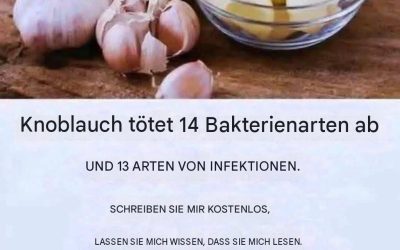 Knoblauch tötet 14 Bakterienarten und 13 Infektionsarten ab.