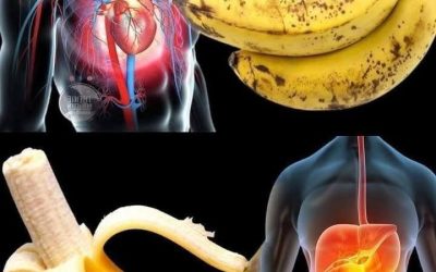 Wussten Sie, dass der Verzehr von Bananen die… Mehr anzeigen