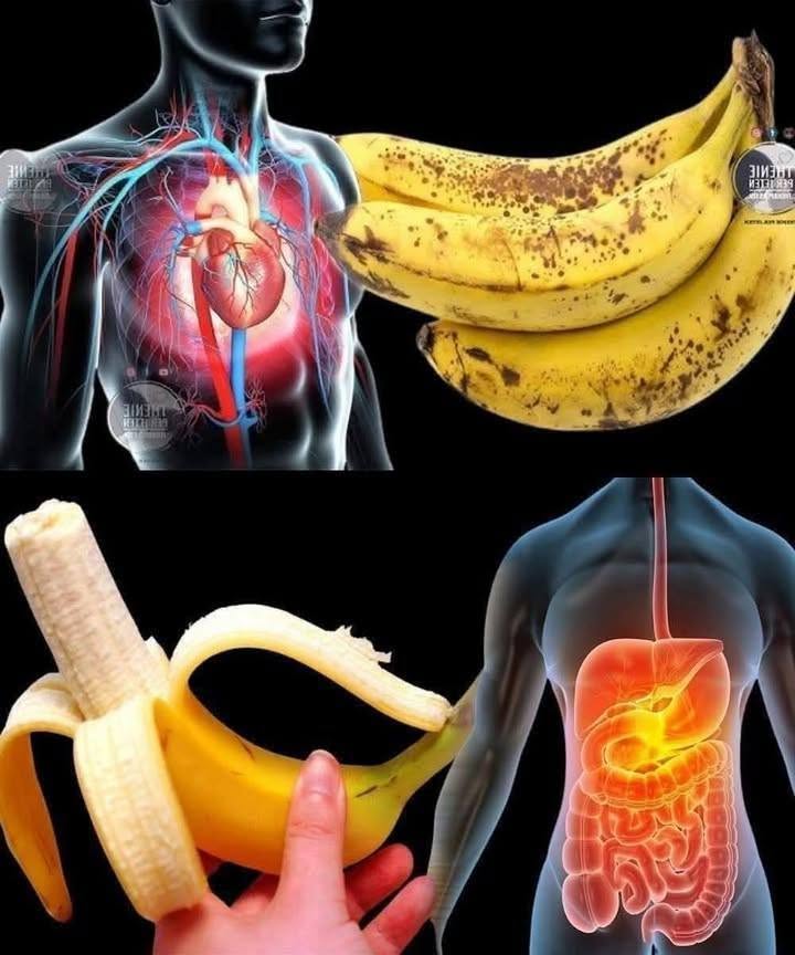 Wussten Sie, dass der Verzehr von Bananen die… Mehr anzeigen