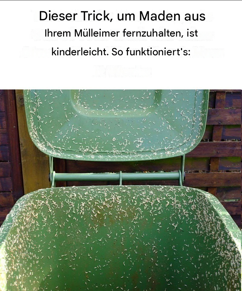 Maden im Mülleimer? So verhindern Sie eine Plage.